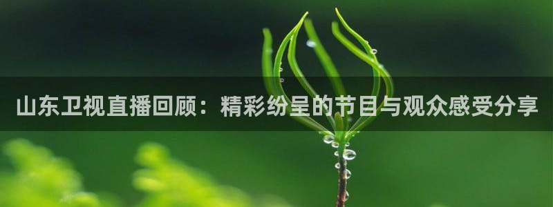 龙门直播网球：山东卫视直播回顾：精彩纷呈的节目与观众感受分享