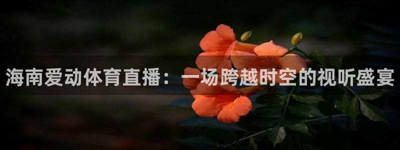龙门直播足球app：海南爱动体育直播：一场跨越时空的视听盛宴