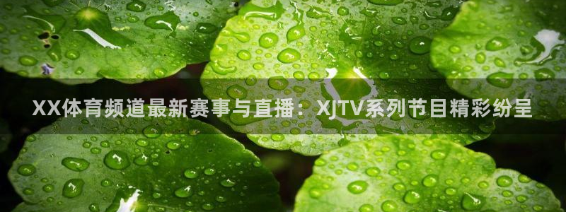 龙门直播：XX体育频道最新赛事与直播：XJTV系列节目精彩纷呈