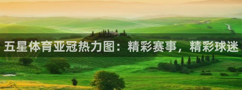 龙门直播足球比赛视频：五星体育亚冠热力图：精彩赛事，精彩球迷
