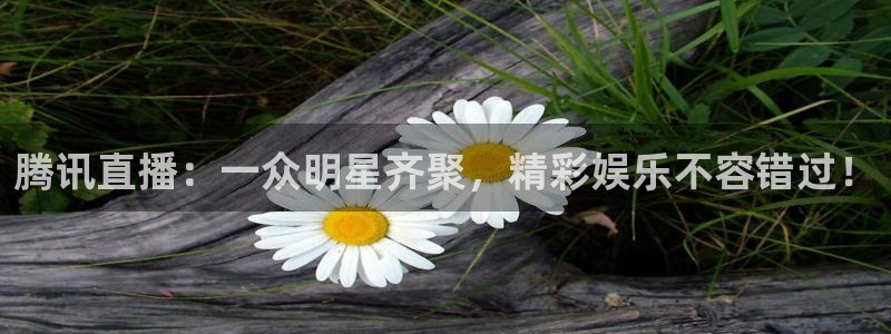 nba龙门直播免费观看：腾讯直播：一众明星齐聚，精彩娱乐不容错过！