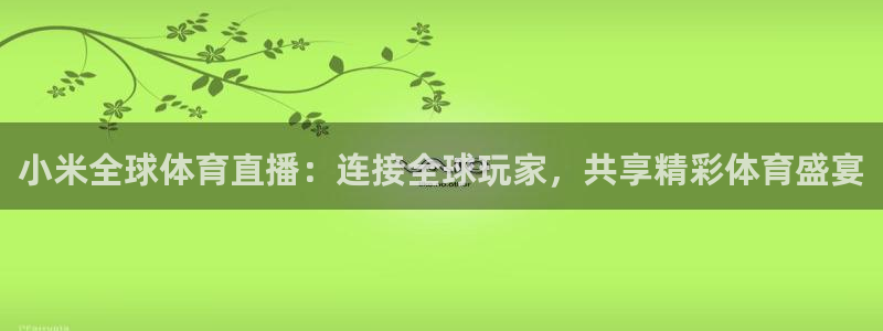 龙门直播赛事回放
