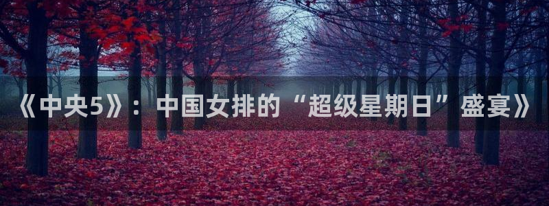 中超龙门直播