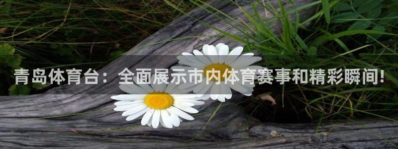 龙门直播cba免费直播在线观看