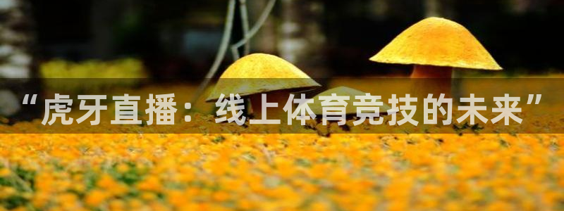 龙门直播热门：“虎牙直播：线上体育竞技的未来”