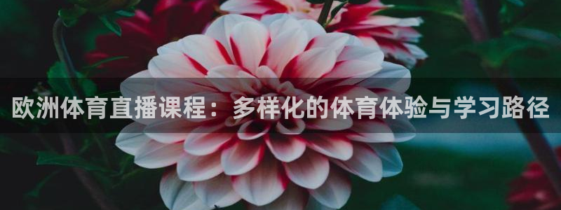 龙门直播免费下载入口：欧洲体育直播课程：多样化的体育体验与学习路径