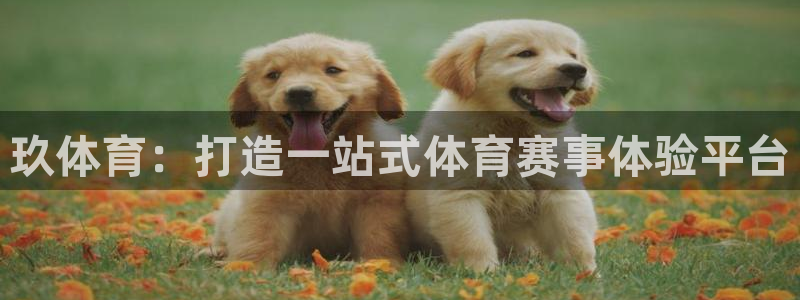 龙门直播在线观看：玖体育：打造一站式体育赛事体验平台