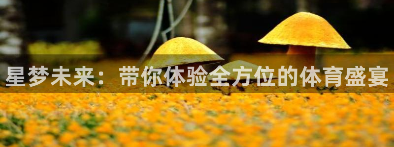 龙门直播苹果下载：星梦未来：带你体验全方位的体育盛宴