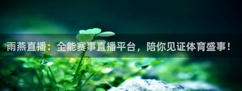 龙门直播足球免费观看：雨燕直播：全能赛事直播平台，陪你见证体育盛事！